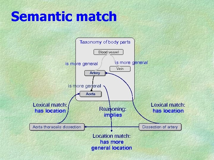 Semantic match Taxonomy of body parts Blood vessel is more general Vein Artery is