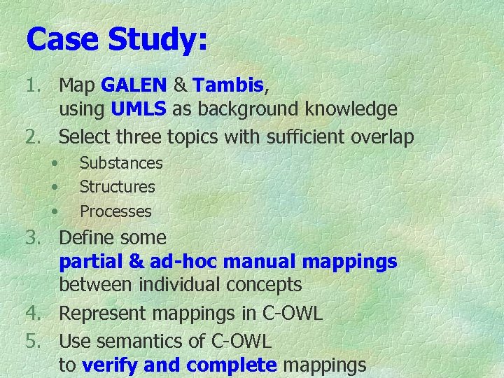 Case Study: 1. Map GALEN & Tambis, using UMLS as background knowledge 2. Select