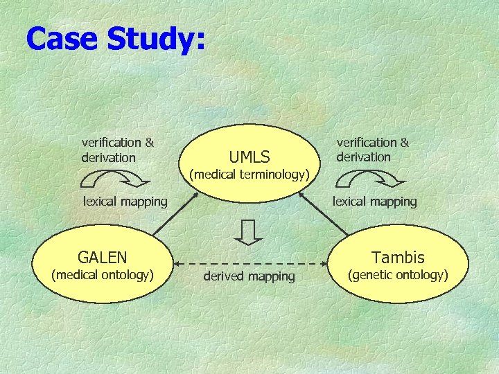 Case Study: verification & derivation UMLS verification & derivation (medical terminology) lexical mapping GALEN