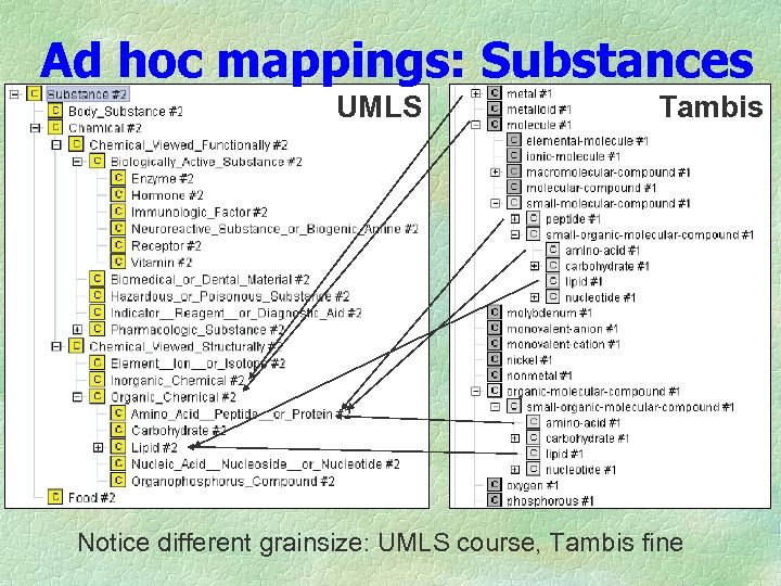 Ad hoc mappings: Substances UMLS Tambis Notice different grainsize: UMLS course, Tambis fine 