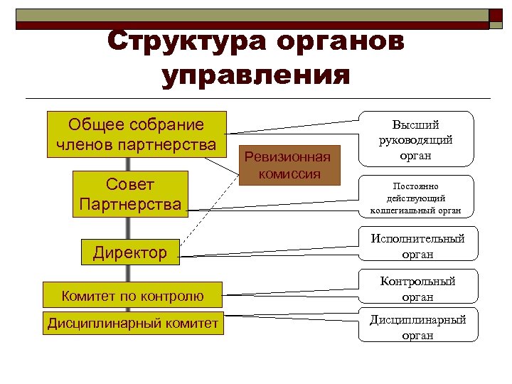 Руководящий орган