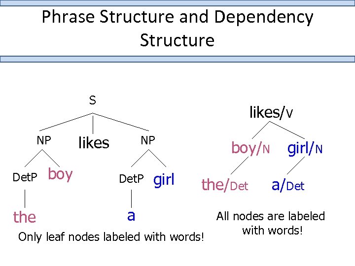 Phrase Structure and Dependency Structure S NP Det. P the boy likes/V likes NP