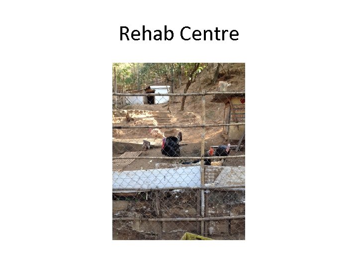 Rehab Centre 