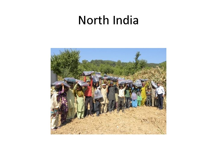 North India 