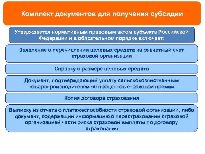 Комплект документов для получения субсидии Утверждается нормативным правовым актом субъекта Российской Федерации и в