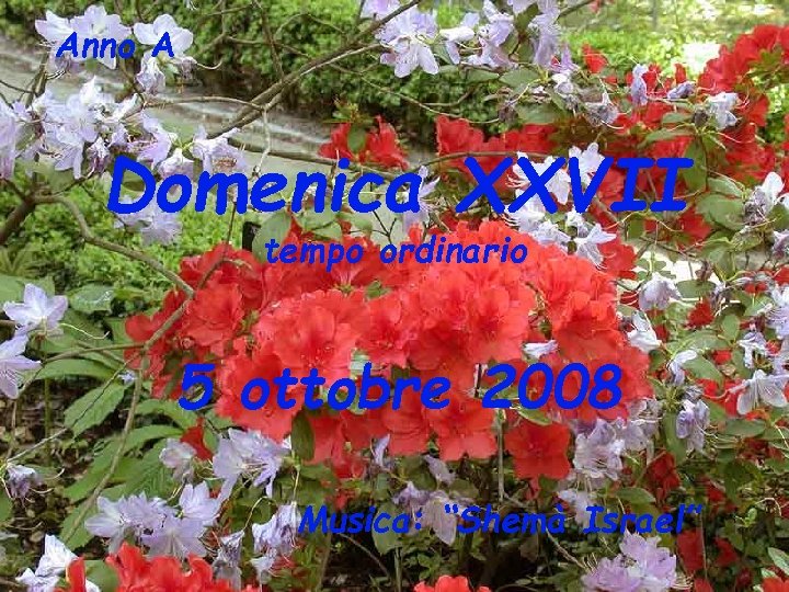 Anno A Domenica XXVII tempo ordinario 5 ottobre 2008 Musica: “Shemà Israel” 