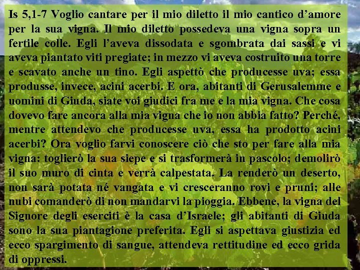 Is 5, 1 -7 Voglio cantare per il mio diletto il mio cantico d’amore