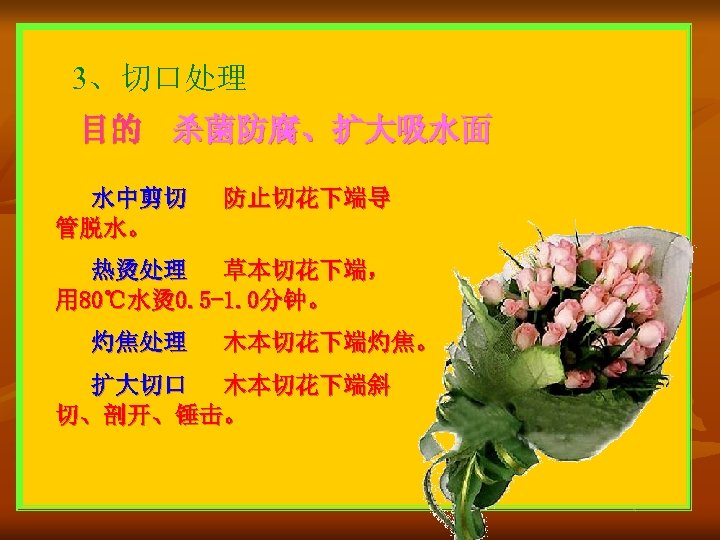 3、切口处理 目的 杀菌防腐、扩大吸水面 水中剪切 管脱水。 防止切花下端导 热烫处理 草本切花下端， 用 80℃水烫 0. 5 -1. 0分钟。