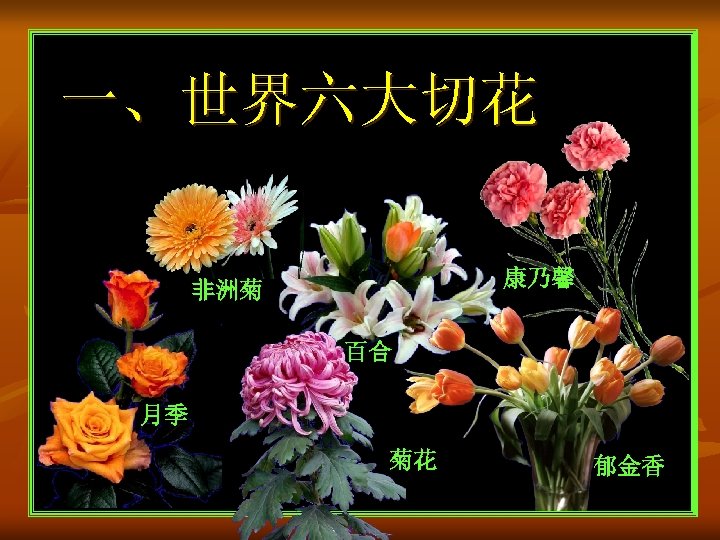 一、世界六大切花 康乃馨 非洲菊 百合 月季 菊花 郁金香 