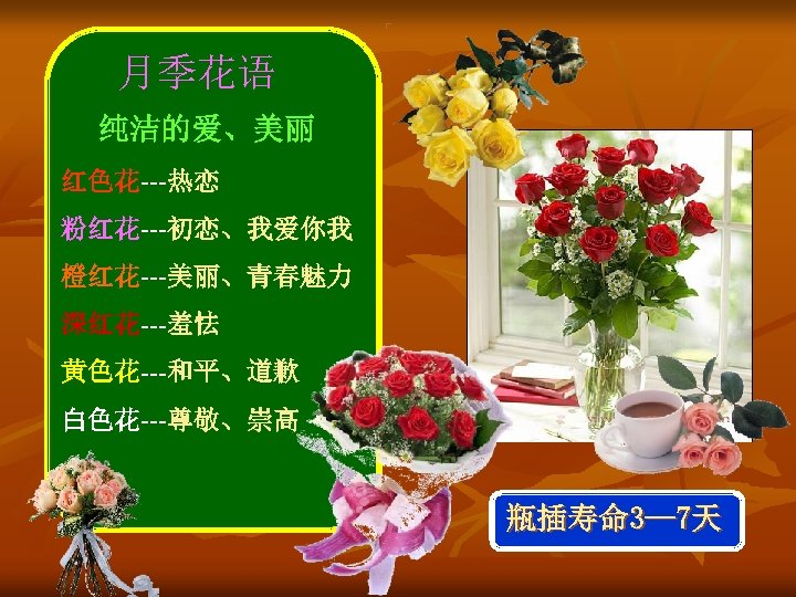 月季花语 纯洁的爱、美丽 红色花---热恋 粉红花---初恋、我爱你我 橙红花---美丽、青春魅力 深红花---羞怯 黄色花---和平、道歉 白色花---尊敬、崇高 瓶插寿命 3— 7天 