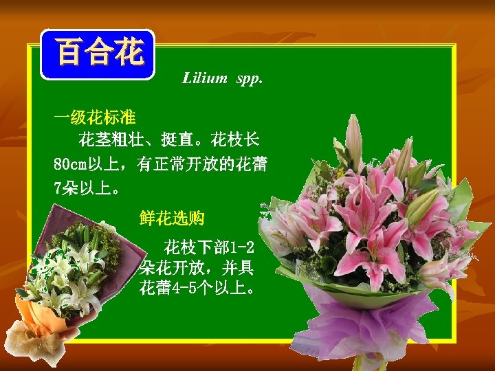 百合花 Lilium spp. 一级花标准 花茎粗壮、挺直。花枝长 80 cm以上，有正常开放的花蕾 7朵以上。 鲜花选购 花枝下部 1 -2 朵花开放，并具 花蕾