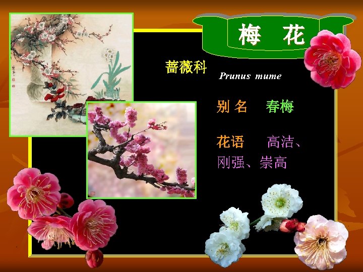 梅 花 蔷薇科 Prunus mume 别名 春梅 花语 高洁、 刚强、崇高 