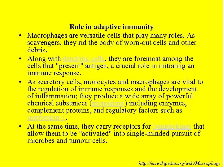  • • Role in adaptive immunity Macrophages are versatile cells that play many