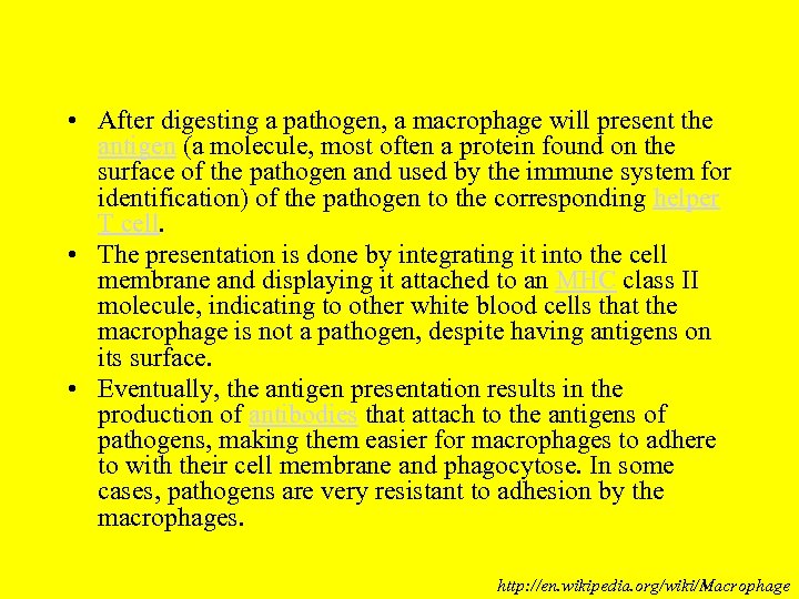  • After digesting a pathogen, a macrophage will present the antigen (a molecule,