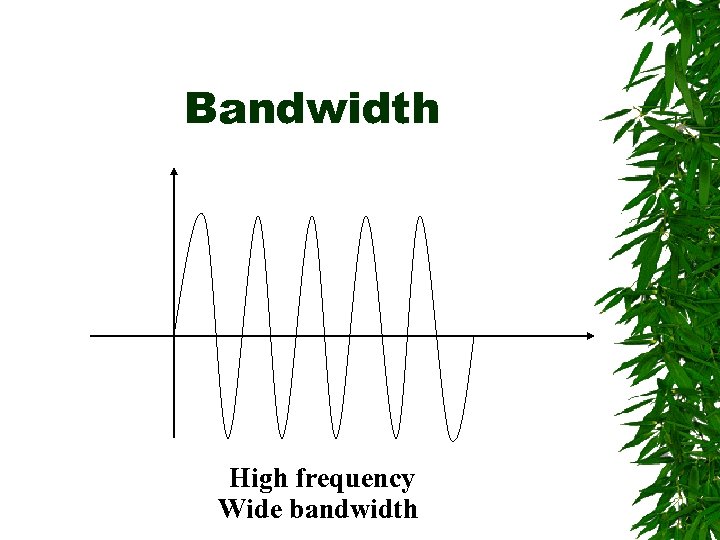 Bandwidth High frequency Wide bandwidth 