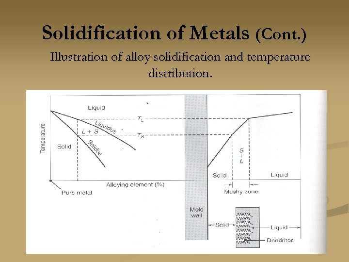 Solidification of Metals (Cont. ) Illustration of alloy solidification and temperature distribution. 