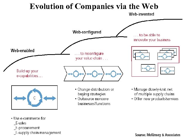 Evolution of Companies via the Web 