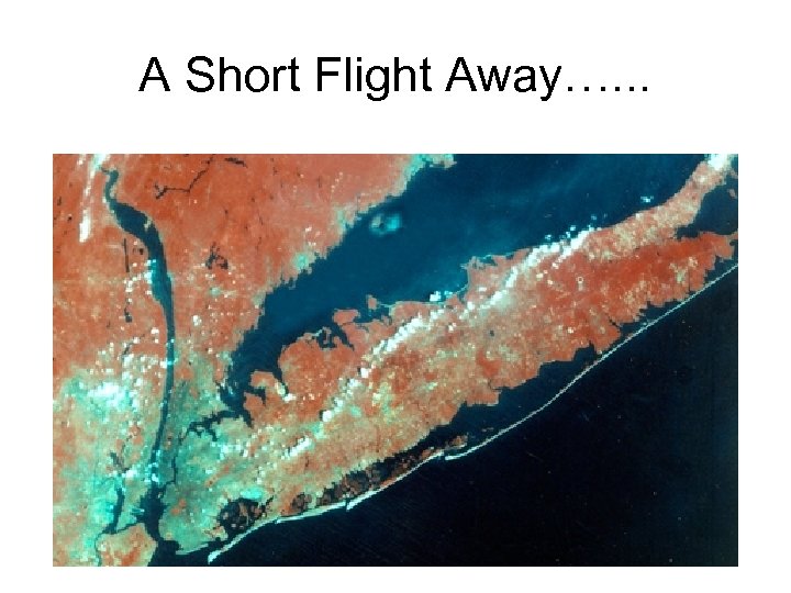 A Short Flight Away…. . . 