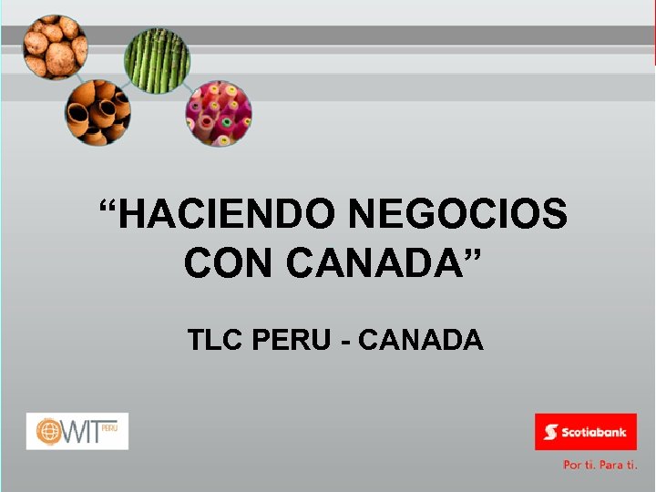 “HACIENDO NEGOCIOS CON CANADA” TLC PERU - CANADA 