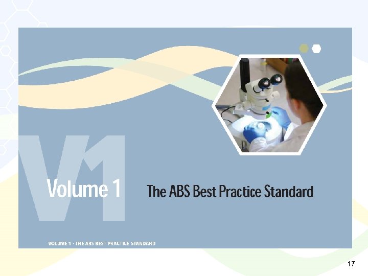 Ø Insert volume 1 divider from MT 17 