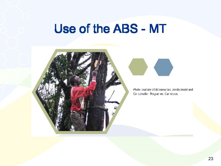 Use of the ABS - MT 23 