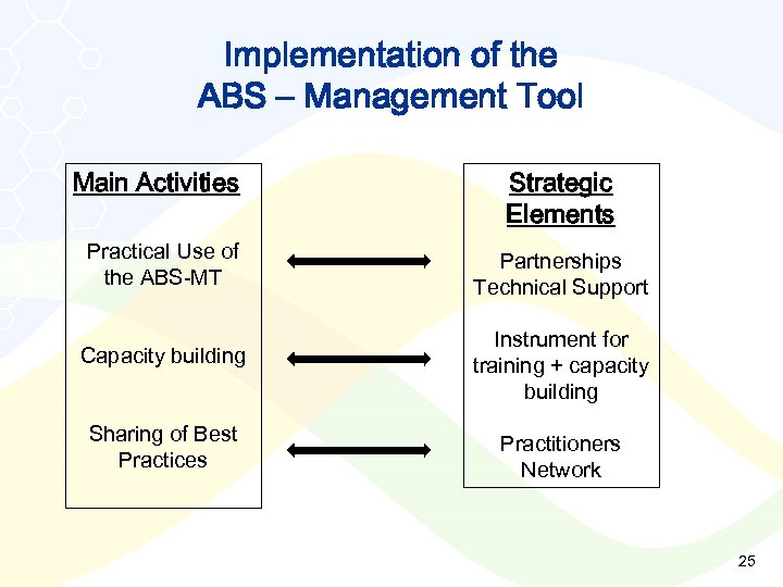 Implementation of the ABS – Management Tool Main Activities Strategic Elements Practical Use of