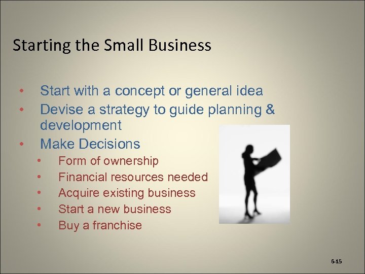 Starting the Small Business • • • Start with a concept or general idea