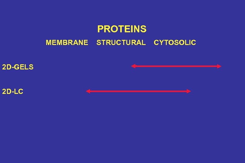 PROTEINS MEMBRANE 2 D-GELS 2 D-LC STRUCTURAL CYTOSOLIC 