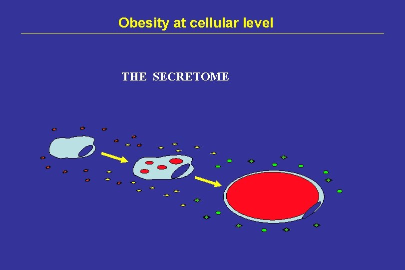 Obesity at cellular level THE SECRETOME 