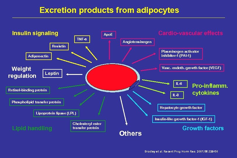 Excretion products from adipocytes Insulin signaling Cardio-vascular effects Apo. E TNF- Angiotensinogen Resistin Plasminogen