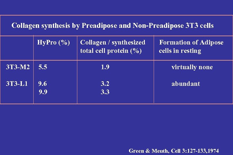 Collagen synthesis by Preadipose and Non-Preadipose 3 T 3 cells Hy. Pro (%) Collagen