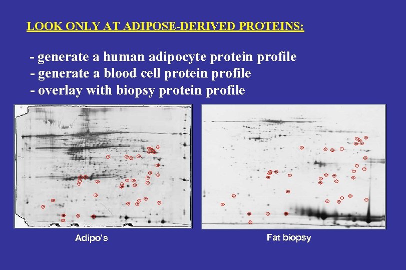 LOOK ONLY AT ADIPOSE-DERIVED PROTEINS: - generate a human adipocyte protein profile - generate