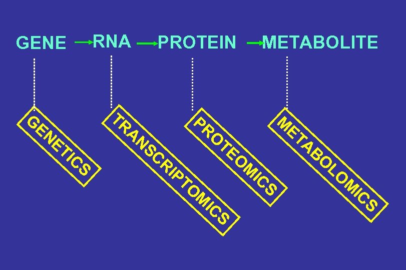 RNA GENE PROTEIN TR G EN ET I CS METABOLITE M AN SC PR