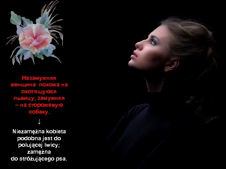 Незамужняя женщина похожа на охотящуюся львицу; замужняя – на сторожевую собаку. ↓ Niezamężna kobieta