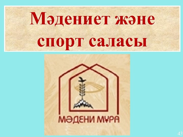 Мәдениет және спорт саласы 43 