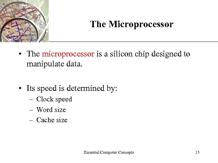 The Microprocessor XP • The microprocessor is a silicon chip designed to manipulate data.