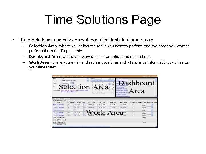 Time Solutions Page • Time Solutions uses only one web page that includes three