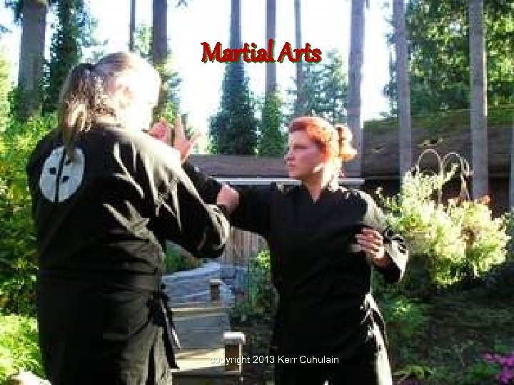 Martial Arts copyright 2013 Kerr Cuhulain 