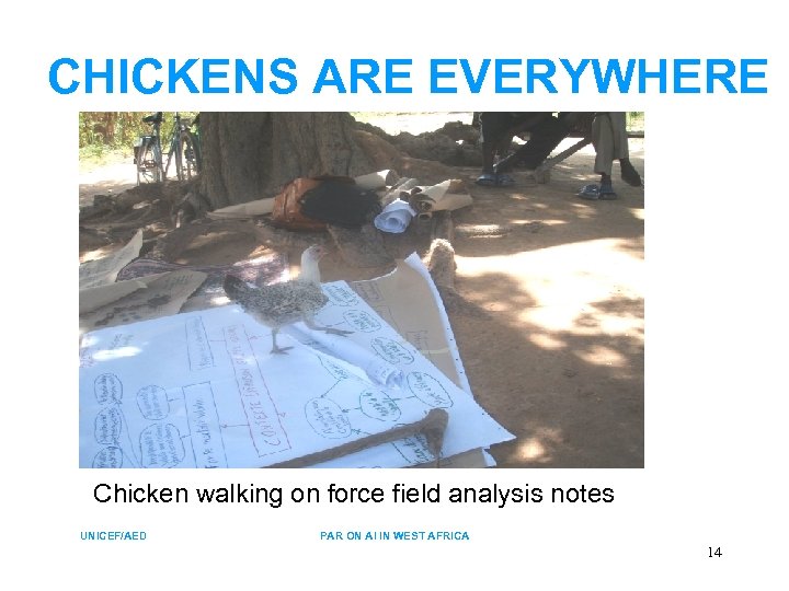 CHICKENS ARE EVERYWHERE Chicken walking on force field analysis notes UNICEF/AED PAR ON AI