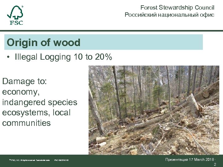 Forest Stewardship Council Российский национальный офис Origin of wood • Illegal Logging 10 to