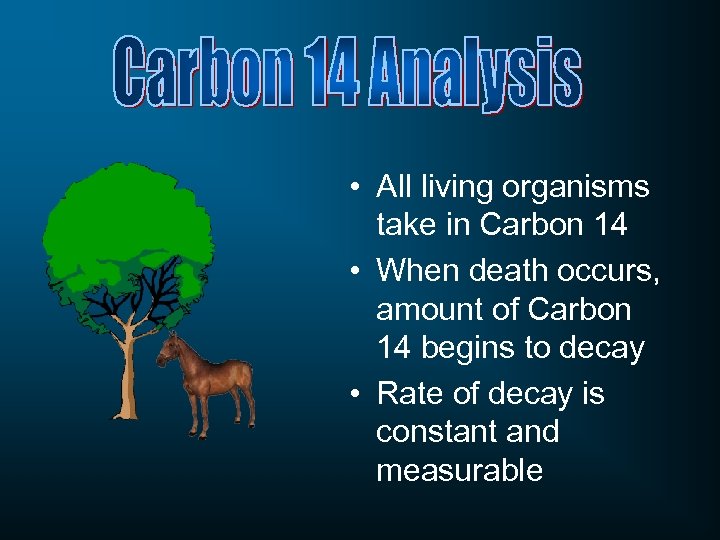  • All living organisms take in Carbon 14 • When death occurs, amount