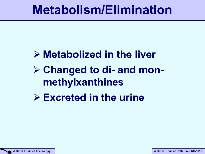 Metabolism/Elimination Ø Metabolized in the liver Ø Changed to di- and monmethylxanthines Ø Excreted