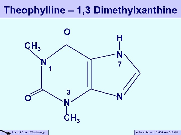 Theophylline – 1, 3 Dimethylxanthine O CH 3 N O H N 7 1