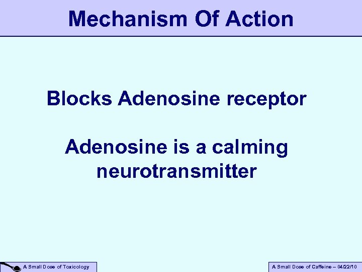 Mechanism Of Action Blocks Adenosine receptor Adenosine is a calming neurotransmitter A Small Dose