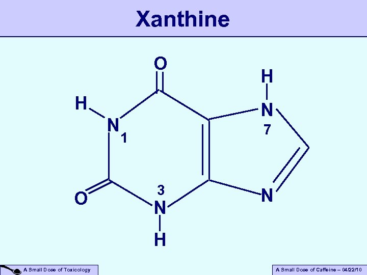 Xanthine O H N 7 1 3 N N H A Small Dose of