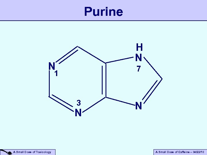 Purine H N N 7 1 3 N A Small Dose of Toxicology N