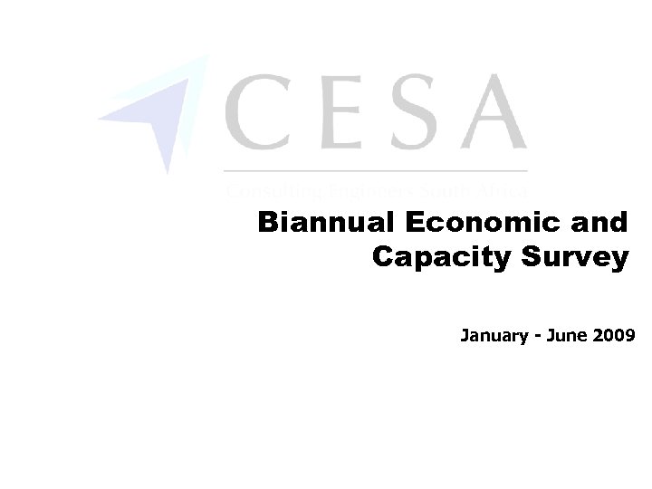 Biannual Economic and Capacity Survey January - June 2009 