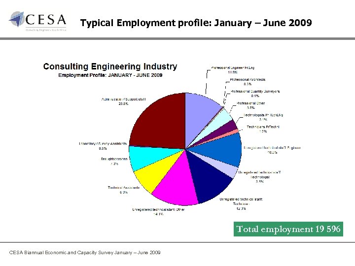 Typical Employment profile: January – June 2009 Total employment 19 596 CESA Biannual Economic