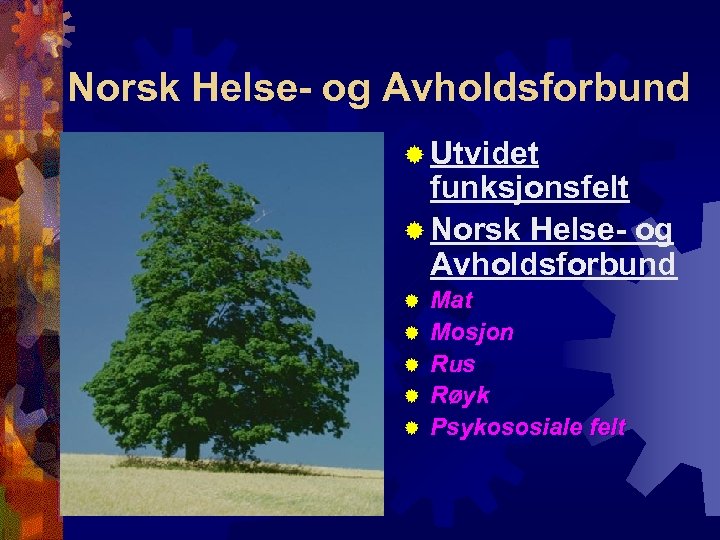 Norsk Helse- og Avholdsforbund ® Utvidet funksjonsfelt ® Norsk Helse- og Avholdsforbund ® ®