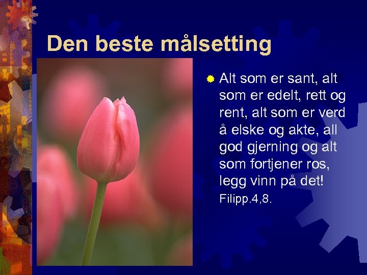 Den beste målsetting ® Alt som er sant, alt som er edelt, rett og
